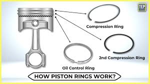 Compression Rings
